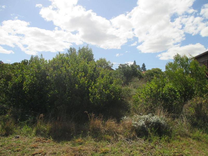 0 Bedroom Property for Sale in Dana Bay Western Cape